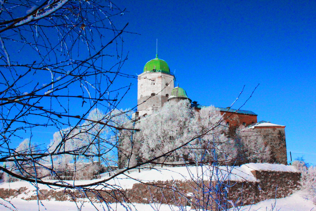 Выборг в январе